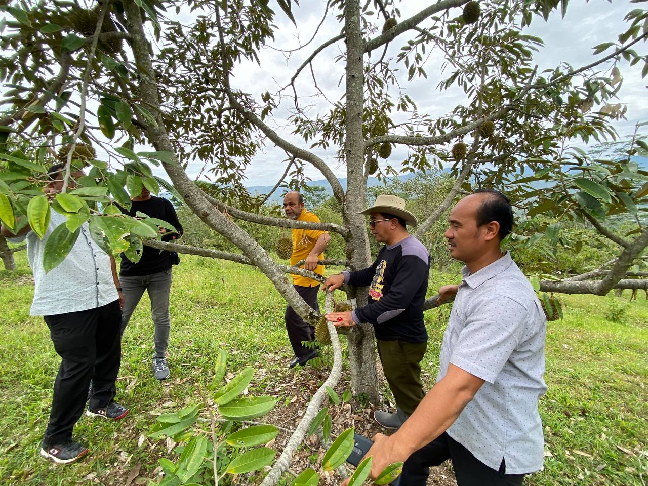 Wakil Bupati Aceh Tamiang T.Insyafuddin beserta rombongan sedang meninjau langsung ke Balitbu Tropika Solok, Sumatera Barat melihat proses pembibitan.