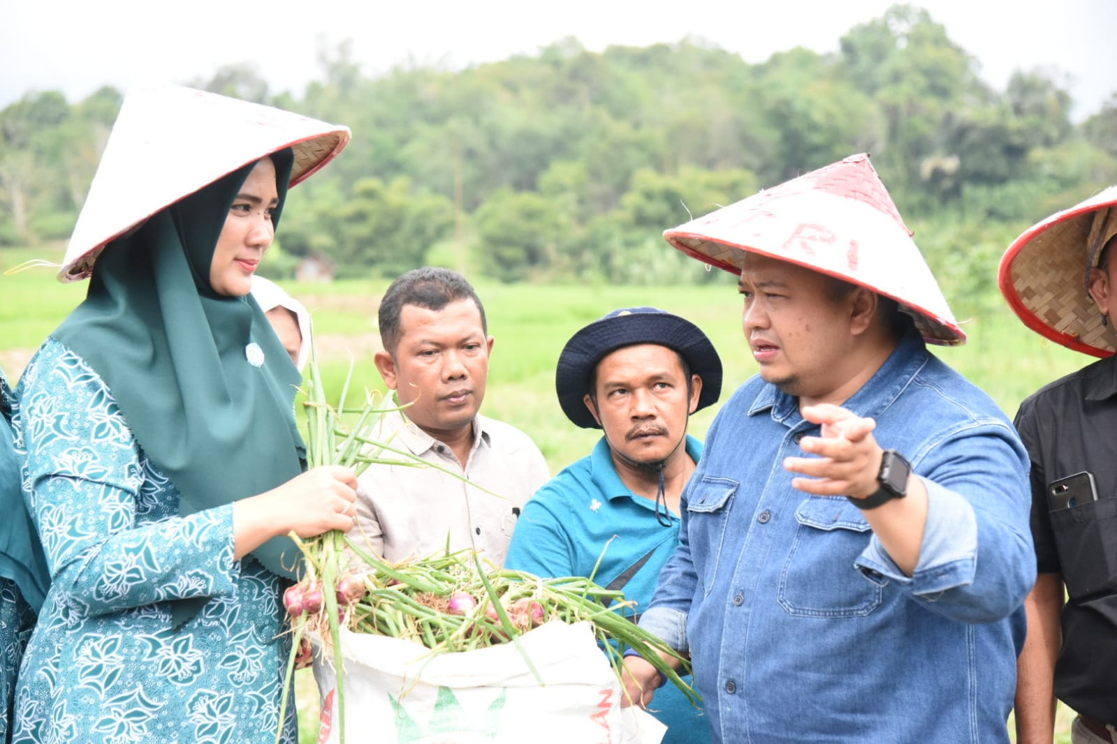 Bupati Tapanuli Selatan (Tapsel), H Dolly Pasaribu, SPt, MM, didampingi Ketua TP PKK Tapsrl, Ny Dolly Padaribu sedang ikut memanen bawang merah petani di Saba Tolang, Desa Sarogodung Kec.Sipirok, Sabtu (20/8). beritasore/Birong RT
