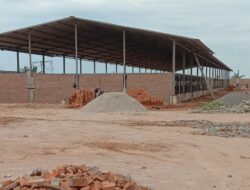 Bangunan Ternak Ayam Di Desa Sei Buluh Tak Miliki Izin