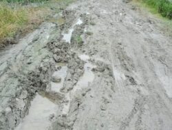 Mohon Pak Bupati , Jalan 6 Desa Kec. Nibung Hangus Diperbaiki