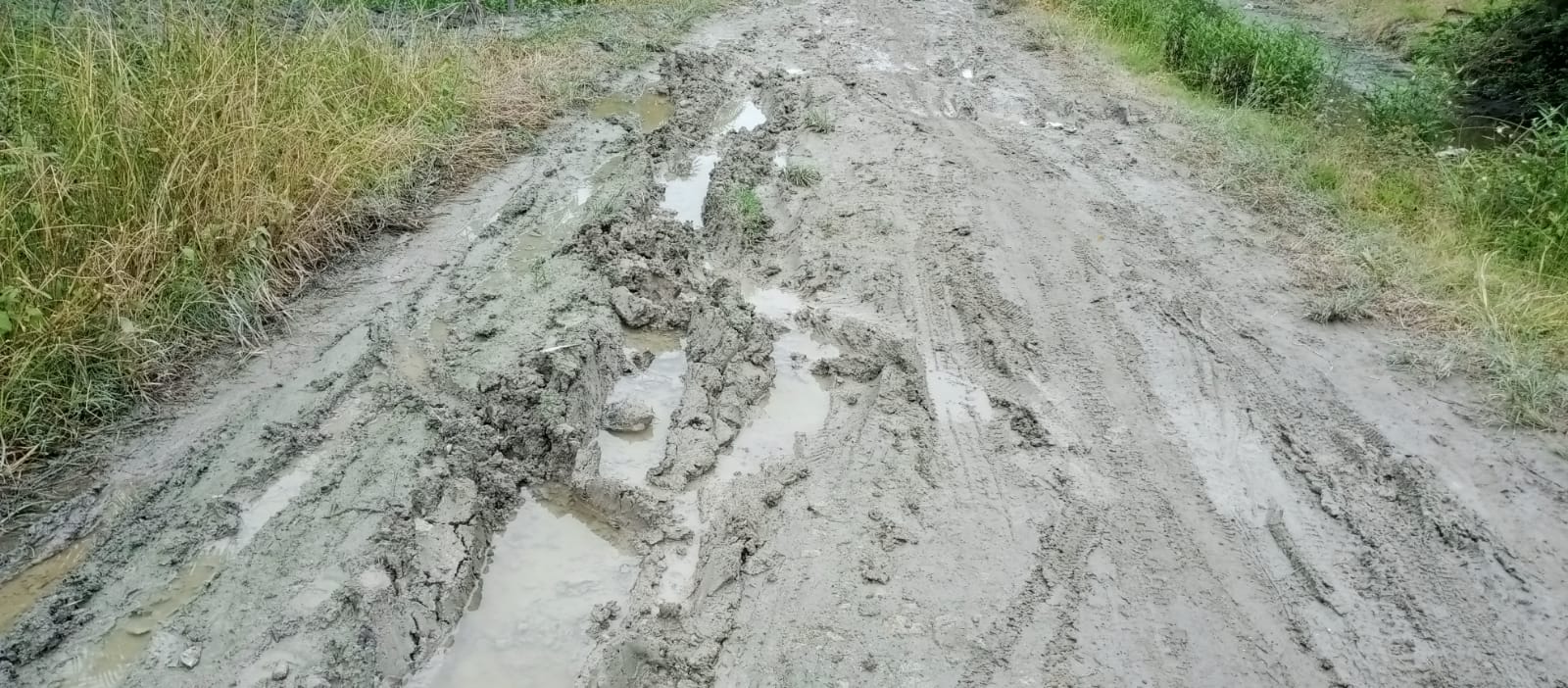 Jalan 6 Desa Kec. Nibung Hangus Kab.Batu Bara Sumatera Utara, Seperti kubangan kerbau, Sabtu (27/8/2022). beritasore/alirsyah