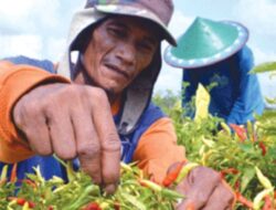 BI Dan TPID Sumut Perkuat Sinergi Kendalikan Inflasi