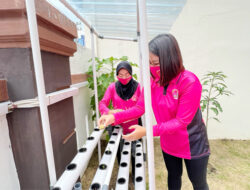 Bhayangkari Ranting Medan Baru Budidayakan Tanaman Hidroponik