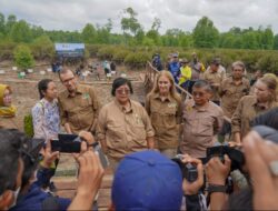 Menteri LHK Ajak Menteri Iklim Dan LH Norwegia  Ke Lokasi Rehabilitasi Mangrove