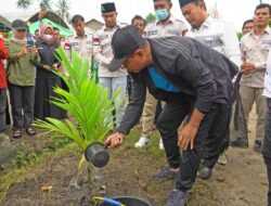 Bupati Zahir – Masyarakat Tanam Bibit Pohon Pinang