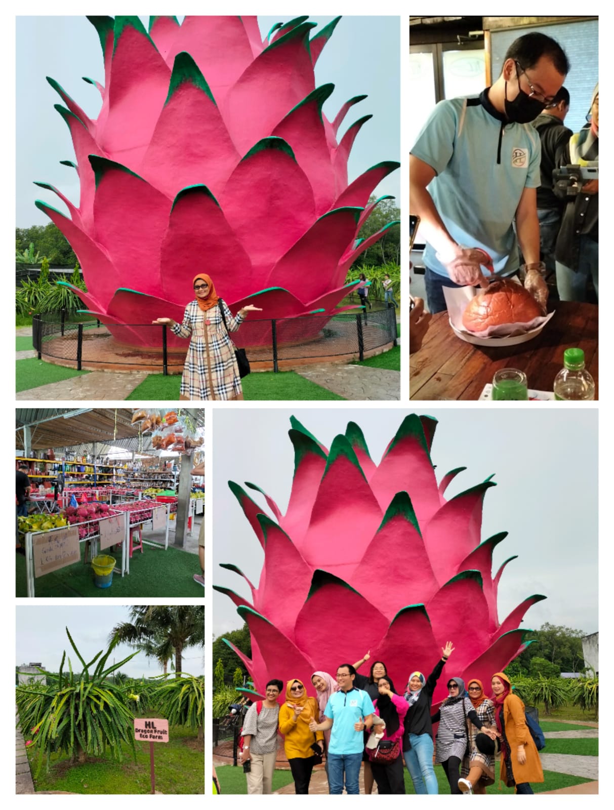 Eugene Chia, Managing Director HL Dragon Fruit Eco Farm, Sepang, Malaysia memotong roti jumbo buah naga dan peserta Fam Trip Tourism Malaysia. beritasore/ist