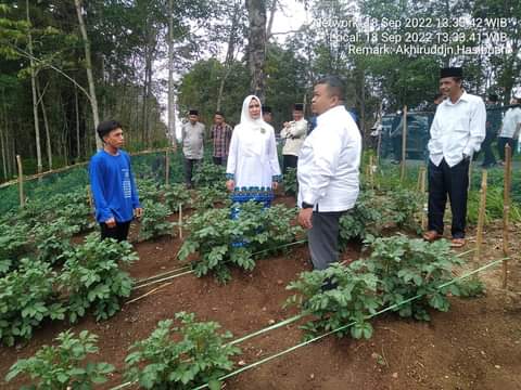 Bupati Tapsel, Dolly Pasaribu -Ketua MPKT saat meninjau demplot tanaman kentang di Desa Huta Ginjang Kec.Angkola Timur, Minggu (18/9). beritasore/Birong RT