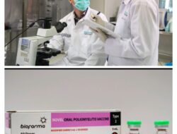 Bio Farma Ekspor Vaksin Polio (noPV2)
