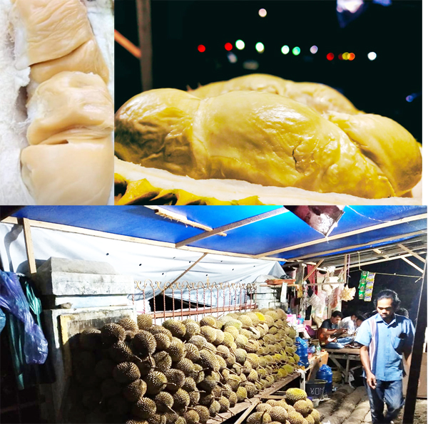 Durian Madina dipampangkan di pinggir jalan Huta Puli, Kec. Siabu, Kab. Madina. beritasore/irham hagabean nasution