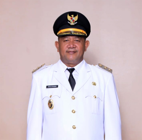 Plt Bupati Langkat H Syah Afandin. beritasore/ist