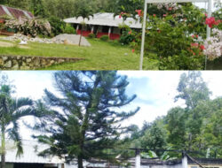 SDN 099 ‘Kupak-kapik’ Dibangun Dan Direhab