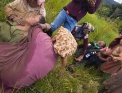 Beberapa korban 'gas beracun' bergelimpangan di pematang sawah 25 Januari 2021, kondisinya tak jauh beda, (27/9) baru-baru ini. beritasore/ist