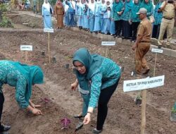 PT Socfindo Conservation Tanam Perdana Bibit TOGA Di Tapsel