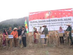 Kodim 0212-TS – Unsur Forkopimda Gelar Baksos Dan Panen Raya Jagung