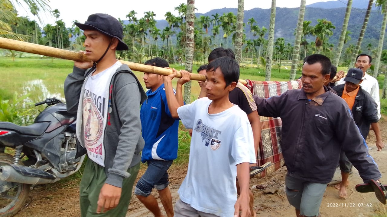 Puluhan warga tengah mengevakuasi Korban Banjir Bandang warga Kute Rambung Jaya dari lokasi penemuan jasad korban menuju Kutenya dengan alat pikul tradisional.Rabu pagi (02/11). beritasore/Ist