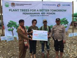 Dukung Penghijauan, BCA Dan Toba Tanam 400 Bibit Pohon
