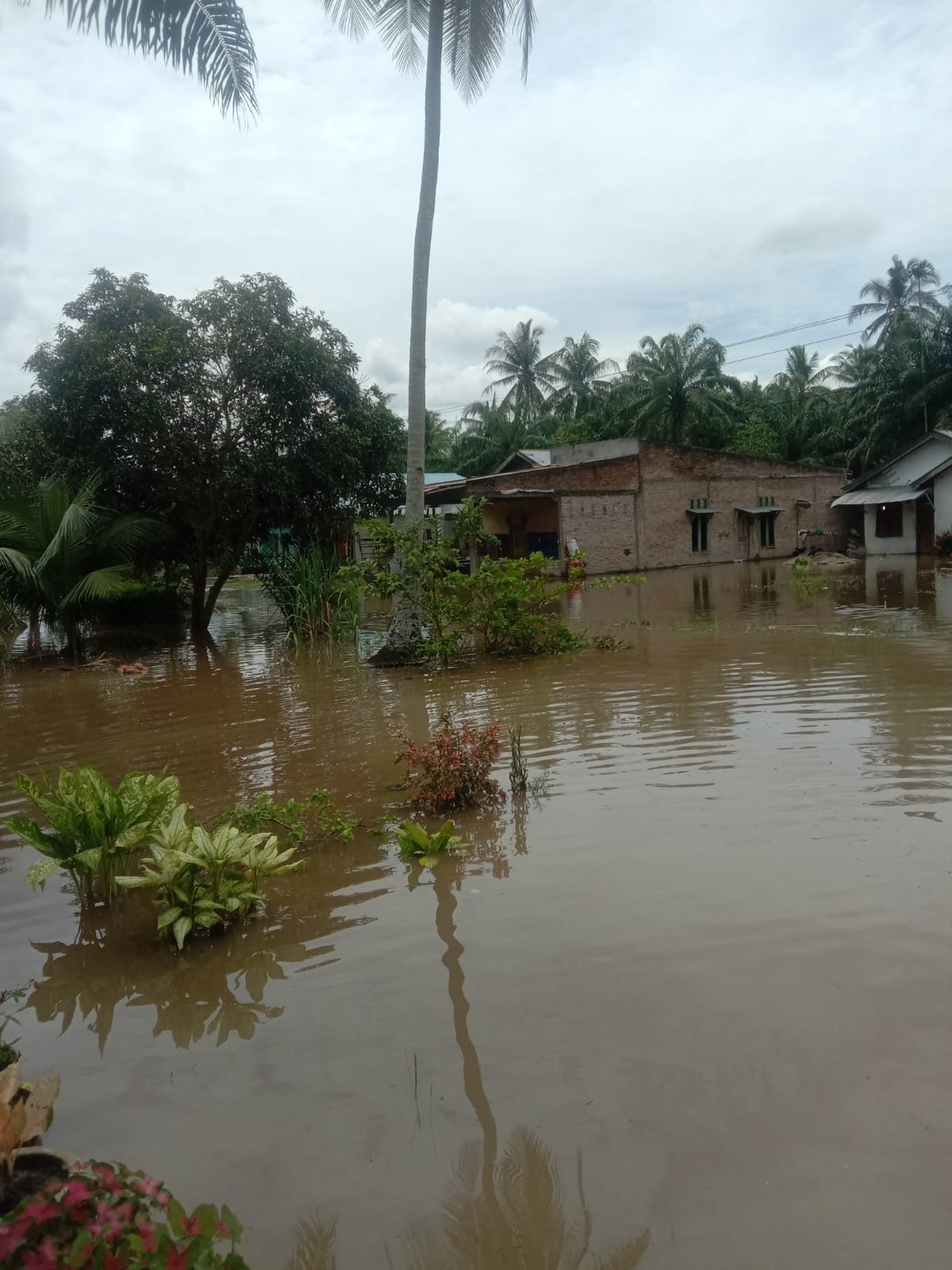 Banjir rendam ratusan rumah warga di Desa Sei Mentaram Kec.Nibung Hangus Kab.Batu Bara Sabtu (5/11/2022).beritasore/alirsyah