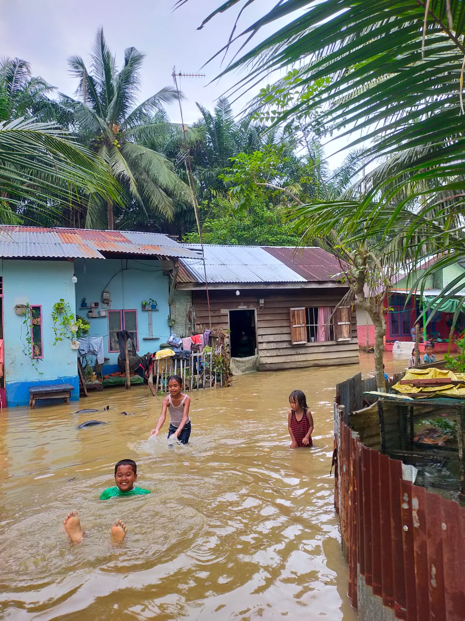 Banjir merendam pemukiman warga Kec Babalan, Kab. Langkat, Minggu (6/11/2022).beritasore/ist