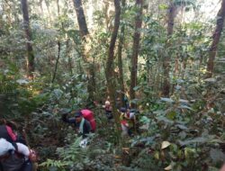 Jalan Tembus  JL – Bahorok Belum Dapat Restu KLHK
