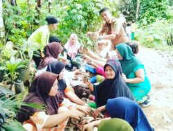 Camat Angkola Barat Tinjau Penanaman Bibit Cabai Di Desa Siuhom