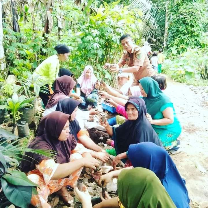 Camat Angkola Barat, M.Thohir Parlindungan Pasaribu, S.Sos saat meninjau penanaman bibit cabai dilahan ibu PKK desa Binaan Siuhom, Selasa (8/11).beritasore/Birong RT