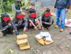 Polres P.Sidempuan Bekuk 4 Orang  Bawa 13 Bal Ganja