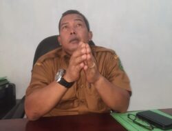 Kisah Taman Panyabungan  Dan Gagal Tender Proyek