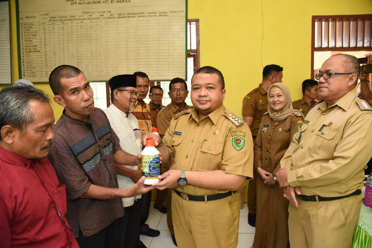 Berita Sore/Birong RT: Bupati Tapanuli Selatan, Dolly Pasaribu menyalurkan pupuk organik cair (POC) kepada 361 kelompok tani secara simbolis di Aula Kantor Balai Penyuluh Pertanian (BPP) Kecamatan Angkola Muaratais, Selasa (15/11).