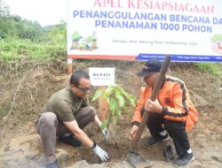 Pemkab Tapsel Tanam 1000 Pohon di Sekitaran Sungai Garoga