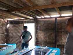 Polsek Percut Seituan Berantas Judi Di Desa Percut