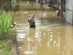 Banjir Kembali Rendam Ratusan Rumah Di Sei Lepan dan Babalan