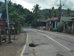 Melintas Di Jalan Sihepeng-Panyabungan Bertaruh Nyawa