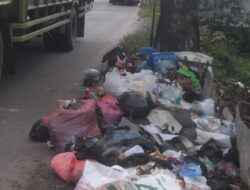 Waspada.id/Irham Hagabean Nasution Sampah menggunung berserakan di pinggir Jalan Lintas Timur, Panyabungan, berbau busuk.