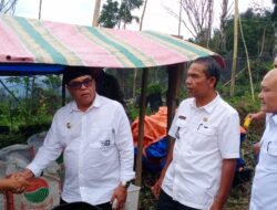 Koptan Mawar Terima Bantuan  6 Ton Bibit Jahe Putih