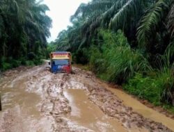 ‘Kubangan Kerbau’ Di Batahan