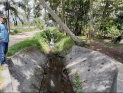 Petani Madina Menjerit Histeris Tanpa Suara