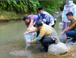 Wali Kota Sidempuan Tabur 3000 Ekor Bibit Ikan