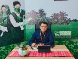 Lapangan Usaha Dan Pergudangan Dongkrak Ekonomi Sumut 2022