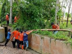 Pasca Banjir, BPBD Kota Padang Sidempuan Survei Hulu Sungai Aek Aloban