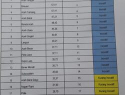 Aceh Tamiang Peringkat Keempat Katagori Kabupaten Inovatif