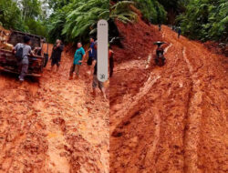 18 ‘Perkebunan Raksasa’  Dekat Jalan Hancur Lebur