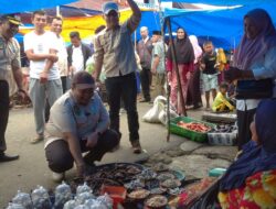 Bupati Dolly Berbelanja Di Pasar Tradisional ” Poken Arba “