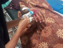 Istri Diterkam Buaya, Suami Melawan