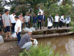 Dinas Perikanan Paluta Tebar Benih Ikan