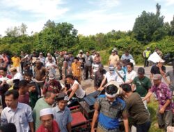 PT RPR Perhatikan Potensi  Kebun Plasma Singkuang 1