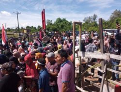 Massa Singkuang 1 Tolak  Negosiasi  Di Medan