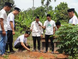 Asah Kemampuan Santri dalam Bertani, Sukarelawan Ganjar Gelar Pelatihan Tanam Jagung di Deli Serdang