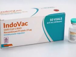 Vaksin IndoVac Siap Digunakan Sebagai Booster