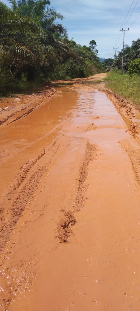 Teks foto beritasore/Irham Hagabean Nasution Jalan rusak parah Banua Tonga, Kec. MBG, Kab. Madina, susah dilewati, masyarakat resah.