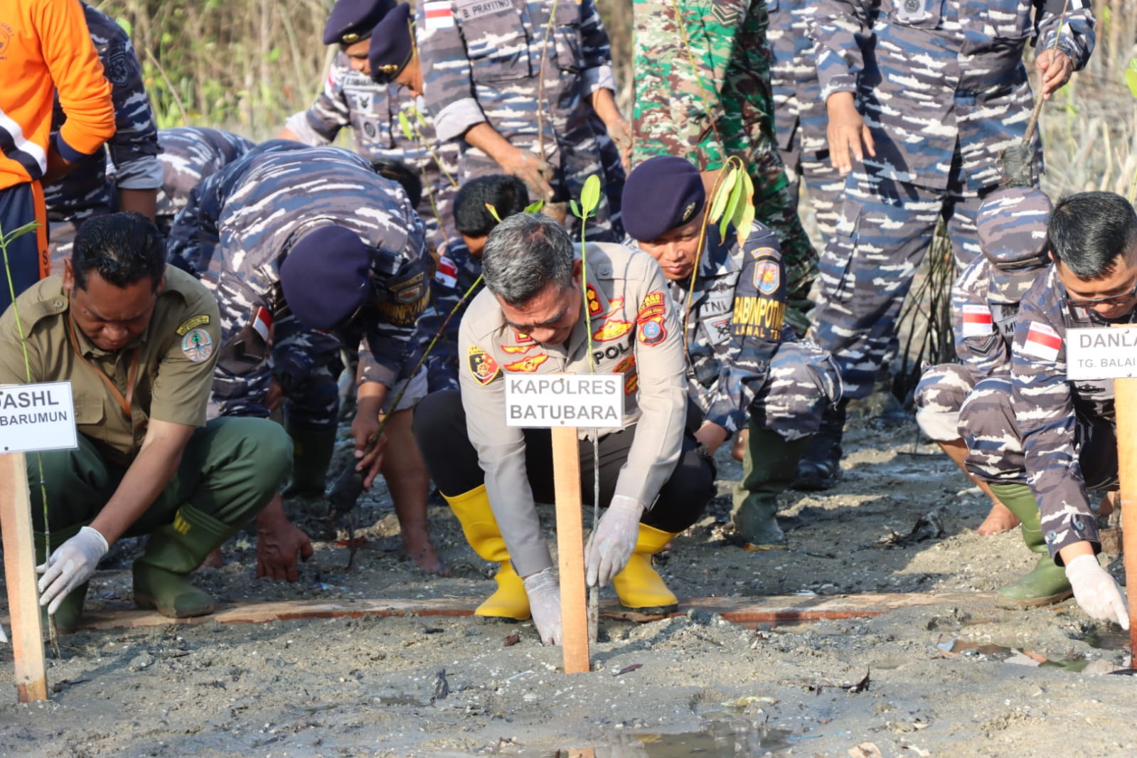 Kapolres Batu Bara AKBP Jose DC Fernandes S.Ik,TNI AL,Forkopimda ikut menanam Mangrove serentak se- Indonesia oleh TNI AL di Dusun VI Desa Bandar Rahmat Kecamatan Tanjung Tiram Kabupaten Batu Bara Senin (15/5-2023). beritasore/alirsyah